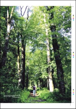 tonsbergsblad_magasin-20071229_000_00_00_023.pdf
