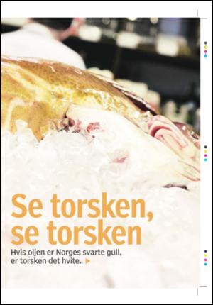 tonsbergsblad_magasin-20080426_000_00_00_023.pdf