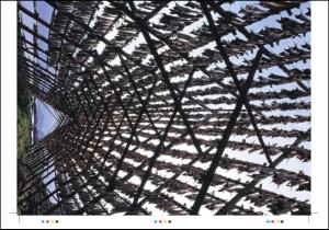 tonsbergsblad_magasin-20080426_000_00_00_025.pdf