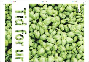 tonsbergsblad_magasin-20080503_000_00_00_024.pdf