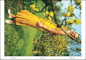 tonsbergsblad_magasin-20080524_000_00_00_023.pdf