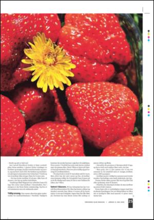 tonsbergsblad_magasin-20080531_000_00_00_025.pdf