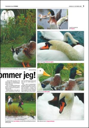 tonsbergsblad_stokke-20051019_000_00_00_009.pdf