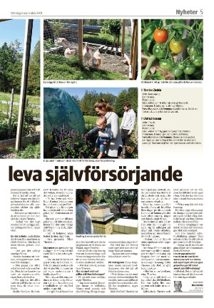 tranastidning-20210906_000_00_00_005.pdf