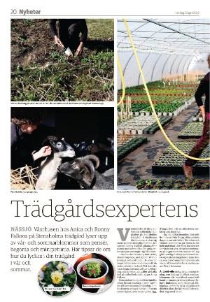 tranastidning-20220423_000_00_00_020.pdf