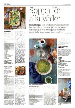 tranastidning-20220524_000_00_00_036.pdf