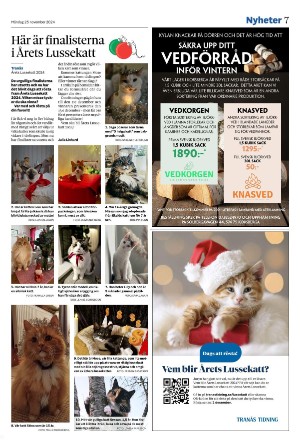 tranastidning-20241125_000_00_00_007.pdf