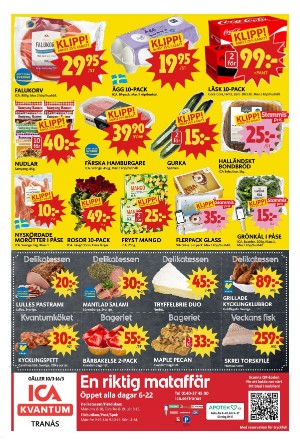 tranastidning-20250310_000_00_00_003.pdf