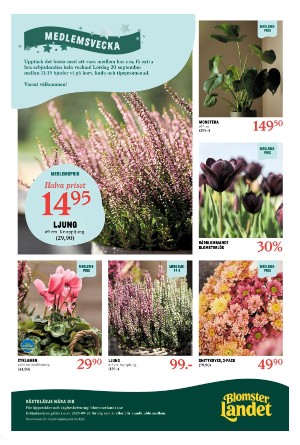 tranastidning-20250919_000_00_00_003.pdf