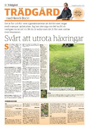 tranastidning_b-20210928_000_00_00_018.pdf