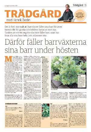 tranastidning_b-20211113_000_00_00_019.pdf