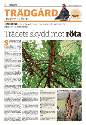 tranastidning_b-20211224_000_00_00_016.pdf