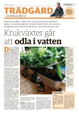 tranastidning_b-20220103_000_00_00_013.pdf