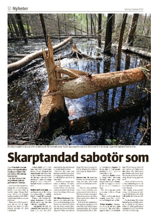 tranastidning_b-20220115_000_00_00_012.pdf