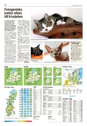 tranastidning_b-20220119_000_00_00_016.pdf