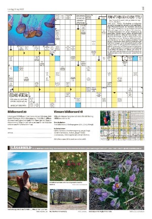 tranastidning_b-20220521_000_00_00_011.pdf