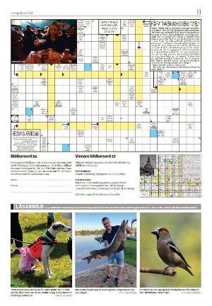 tranastidning_b-20220618_000_00_00_013.pdf