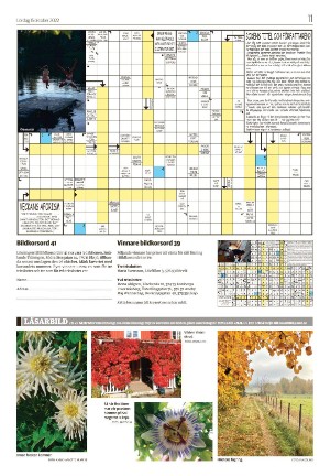 tranastidning_b-20221015_000_00_00_011.pdf