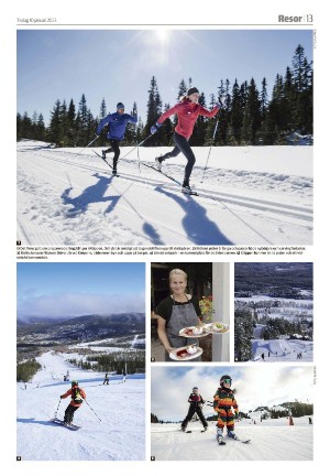 tranastidning_b-20230110_000_00_00_013.pdf