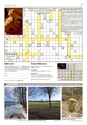 tranastidning_b-20230218_000_00_00_011.pdf