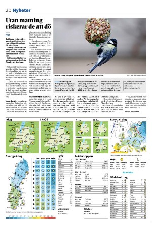 tranastidning_b-20240111_000_00_00_020.pdf