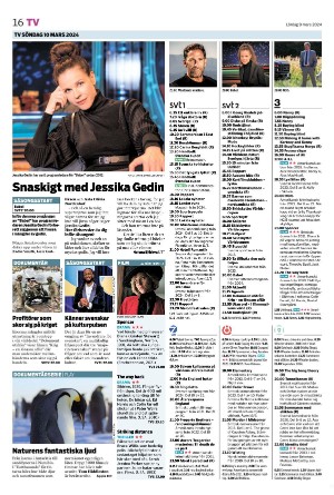 tranastidning_b-20240309_000_00_00_016.pdf