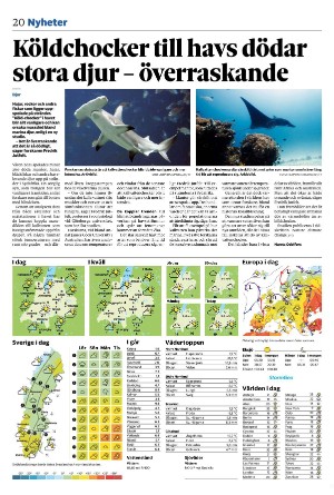 tranastidning_b-20240426_000_00_00_020.pdf