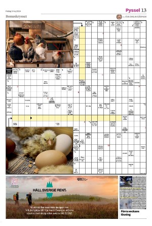 tranastidning_b-20240503_000_00_00_013.pdf