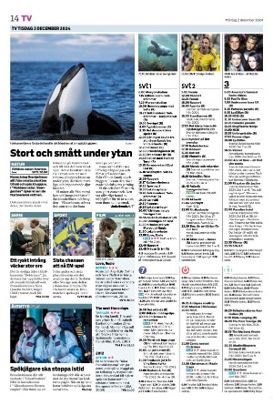 tranastidning_b-20241202_000_00_00_014.pdf