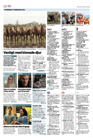 tranastidning_b-20250217_000_00_00_012.pdf