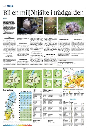 tranastidning_b-20250310_000_00_00_016.pdf