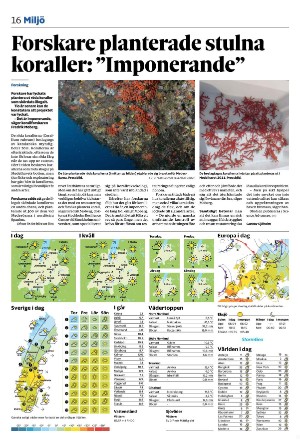 tranastidning_b-20250319_000_00_00_016.pdf