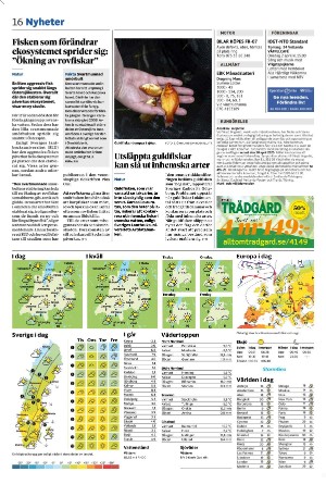 tranastidning_b-20250331_000_00_00_016.pdf