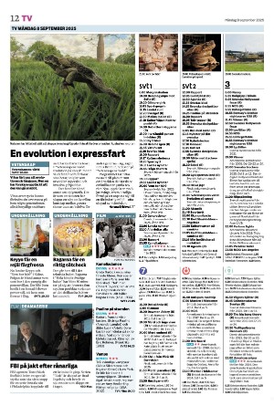 tranastidning_b-20250908_000_00_00_012.pdf