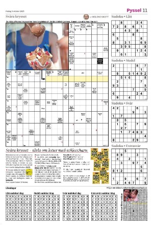 tranastidning_b-20251003_000_00_00_011.pdf