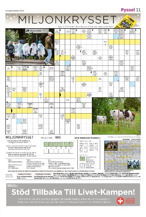 tranastidning_b-20251008_000_00_00_011.pdf