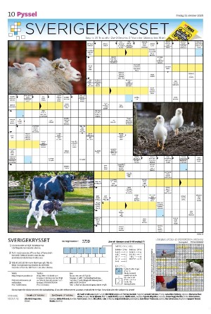 tranastidning_b-20251031_000_00_00_010.pdf