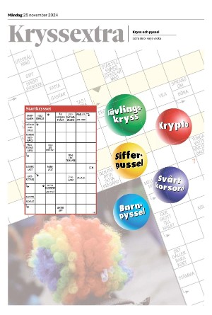 tranastidning_bilag-20241125_000_00_00.pdf