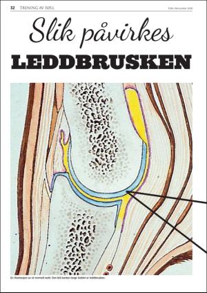 travoggaloppnytt_varnummer-20190412_000_00_00_032.pdf