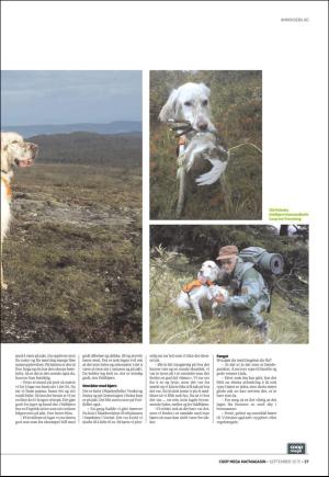 tronderavisa_cm_megamatmagasin_nr_3_2015_-20150923_000_00_00_027.pdf