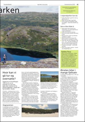 tronderbladet_bilag-20130611_000_00_00_045.pdf