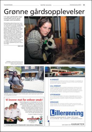 tronderbladet_bilag-20130611_000_00_00_055.pdf