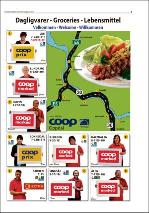 tronderbladet_bilag-20170623_000_00_00_005.pdf