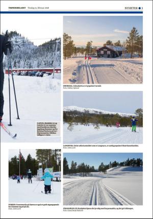 tronderbladet_bilag-20180213_000_00_00_003.pdf