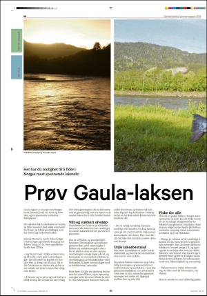 tronderbladet_bilag-20180622_000_00_00_066.pdf