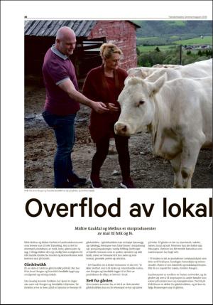 tronderbladet_bilag-20190621_000_00_00_030.pdf
