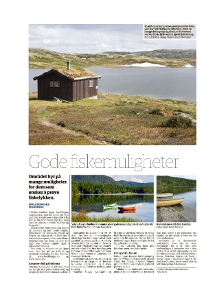 tronderbladet_bilag-20210618_000_00_00_028.pdf