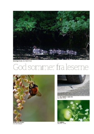 tronderbladet_bilag-20210618_000_00_00_032.pdf