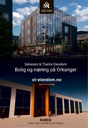 tronderbladet_bilag-20211019_000_00_00_061.pdf