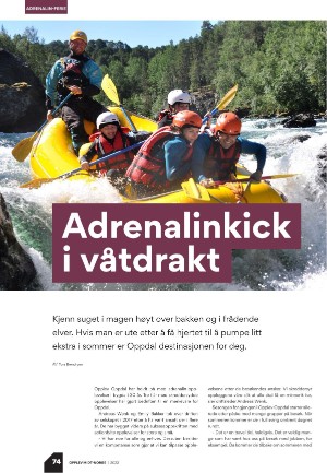 tronderbladet_bilag-20220520_000_00_00_074.pdf